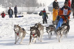 Lenk 2012 SM